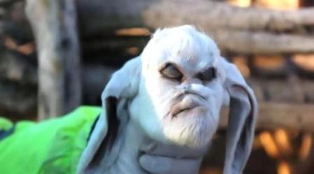 Anak Kambing Lahir Berwajah Setan Hebohkan Argentina 